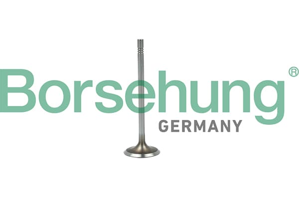 BORSEHUNG Sací ventil B19015 1