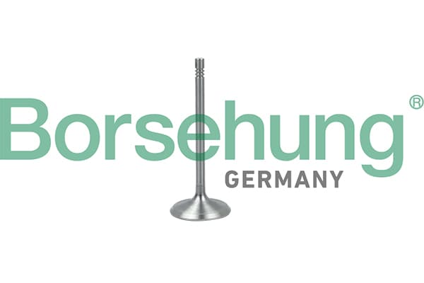 BORSEHUNG Sací ventil B19017 1