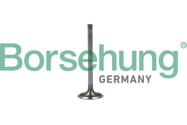 BORSEHUNG Sací ventil B19022 1