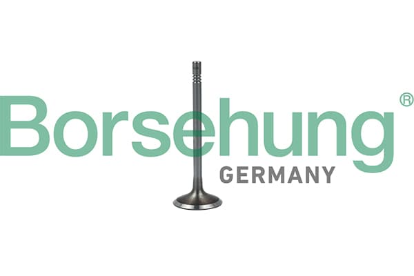 BORSEHUNG Sací ventil B19023 1