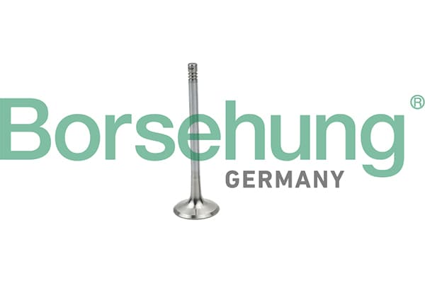 BORSEHUNG Sací ventil B19025 1