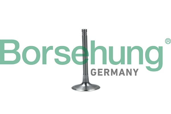 BORSEHUNG Sací ventil B19028 1