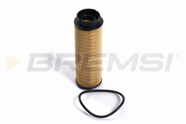 BRMS Palivový filter FE0365 1