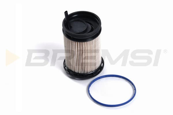 BRMS Palivový filter FE0806 1