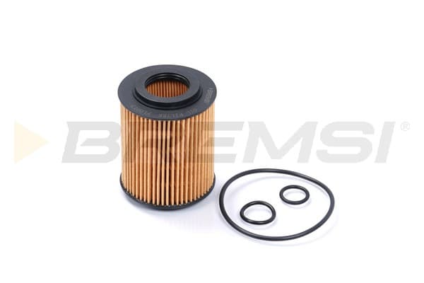 BRMS Olejový filter FL0013 1