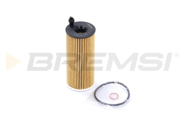 BRMS Olejový filter FL0019 1