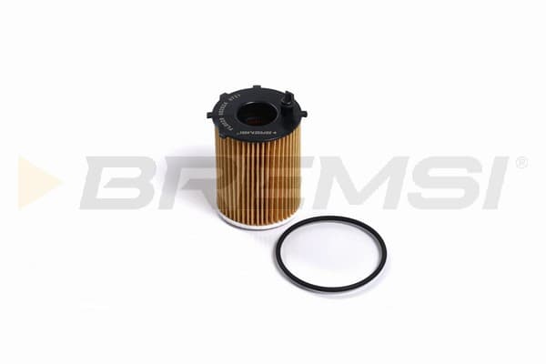 BRMS Olejový filter FL0020 1