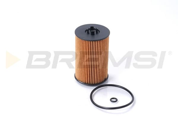 BRMS Olejový filter FL0021 1