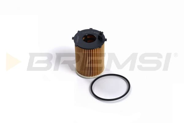 BRMS Olejový filter FL0022 1