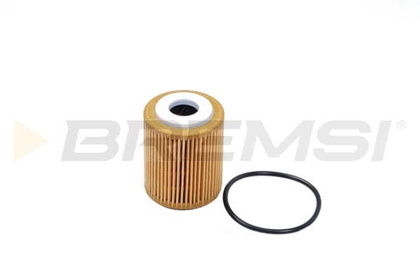 BRMS Olejový filter FL0027 1