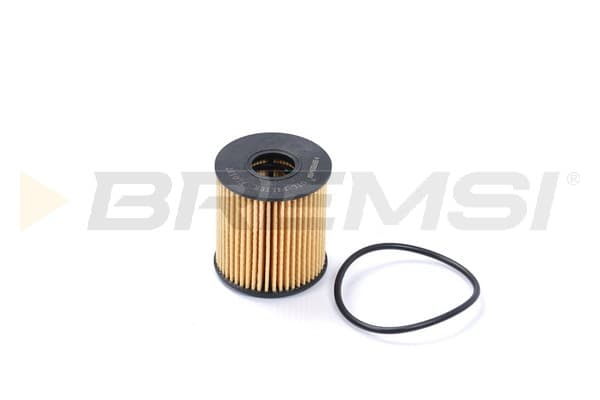 BRMS Olejový filter FL0137 1