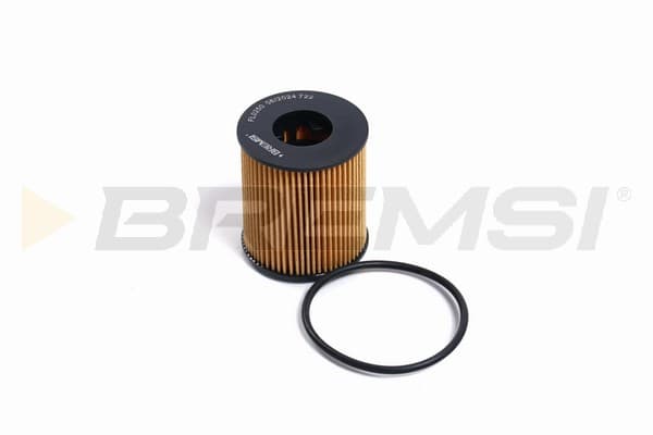 BRMS Olejový filter FL0250 1