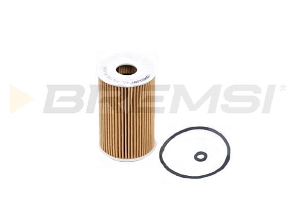 BRMS Olejový filter FL0255 1