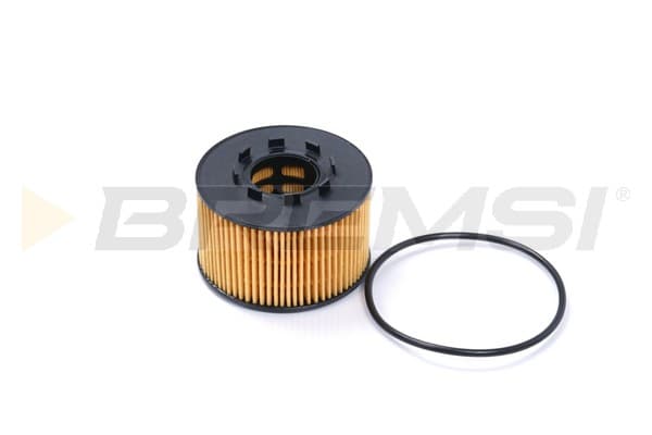 BRMS Olejový filter FL0259 1
