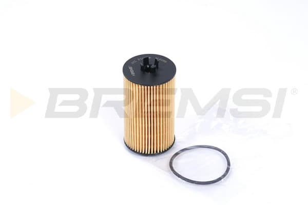BRMS Olejový filter FL0288 1