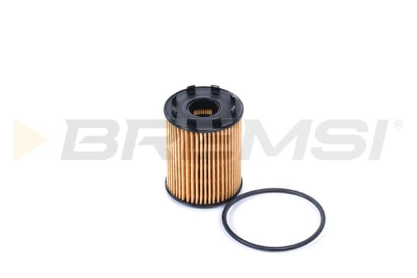 BRMS Olejový filter FL0291 1