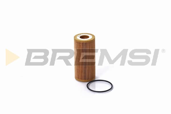 BRMS Olejový filter FL0696 1
