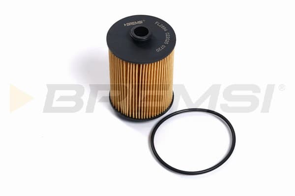 BRMS Olejový filter FL2894 1
