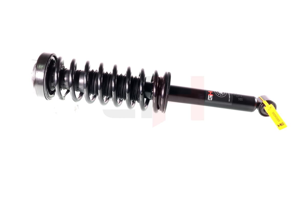 GH Jednotka pruženia,Tlmič pruženia GH-331598C02 1