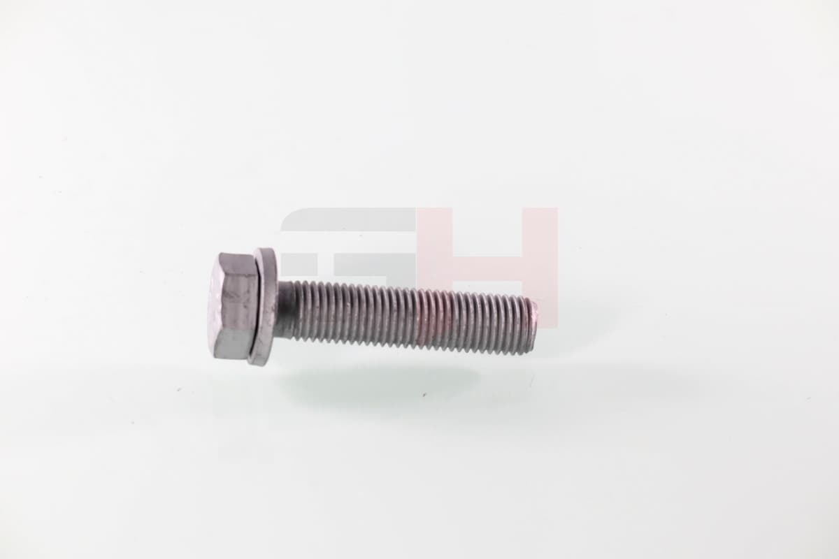 GH Skrutka koncového čapu nápravy GH-391539 1