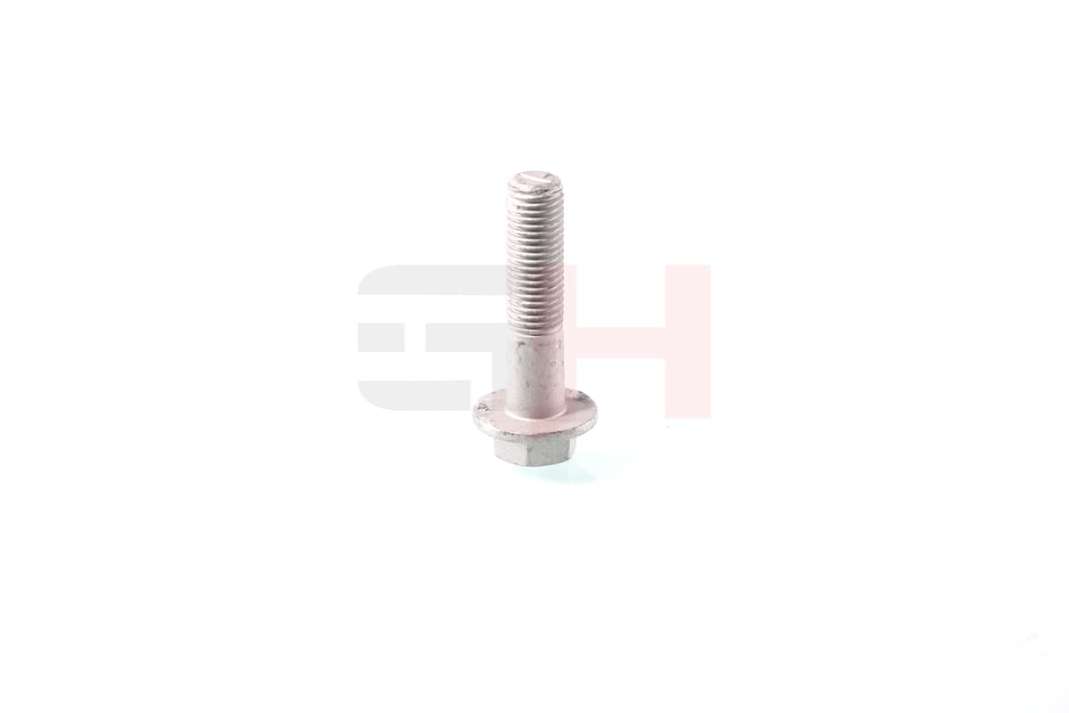 GH Skrutka koncového čapu nápravy GH-391596 1
