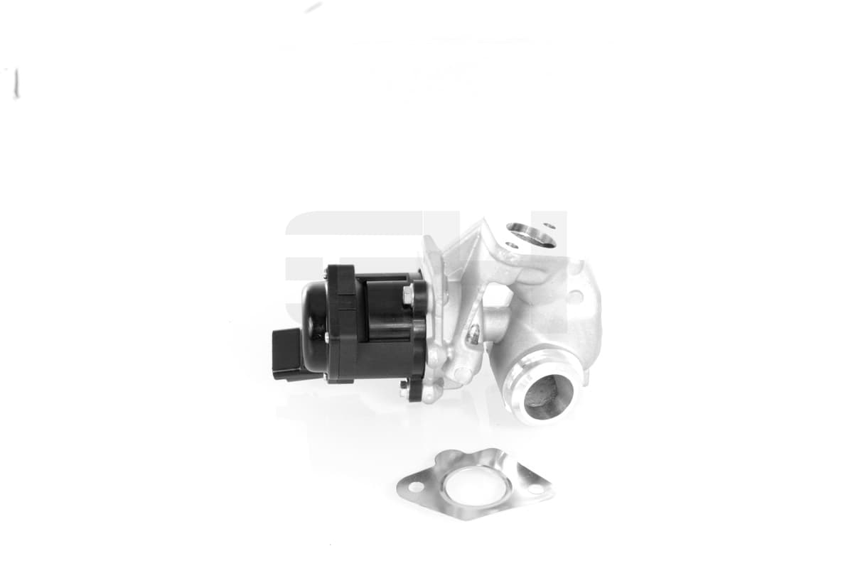 GH AGR - Ventil GH-732549 1