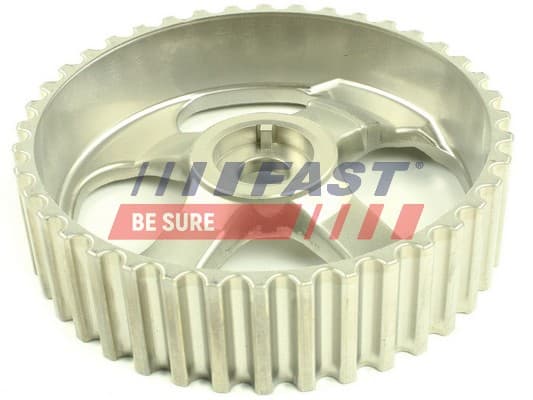 FAST Ozubené koleso vyrovnávacieho hriadeľa FT45613 1