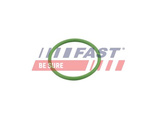 FAST Tesnenie prívodu turbíny FT48803 1