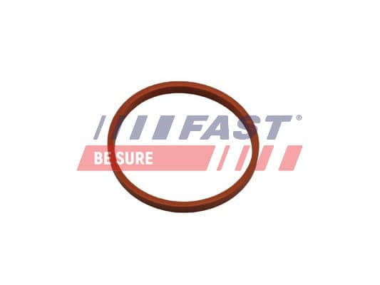 FAST Tesniaci krúžok hadice plniaceho vzduchu FT48932 1