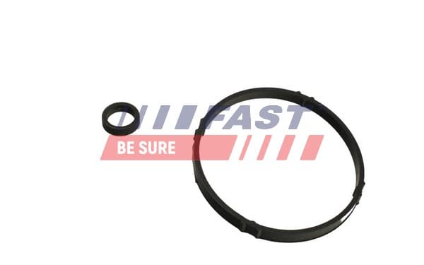 FAST Tesnenie chladiča oleja FT48952 1