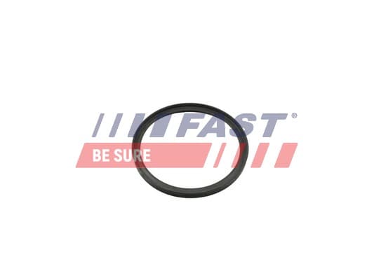 FAST Tesniaci krúžok hadice plniaceho vzduchu FT49857 1