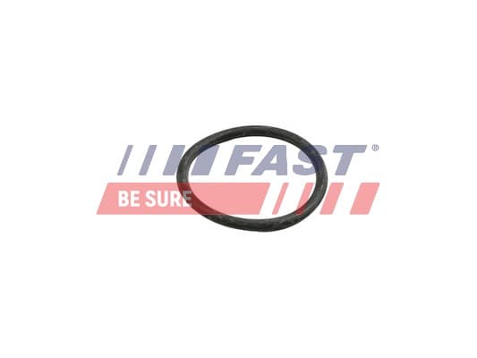 FAST Tesnenie trubiek chladenia FT49918 1
