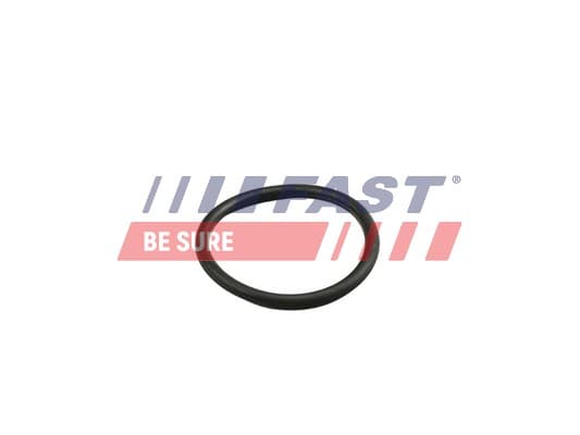 FAST Tesniaci krúžok, hadica chladiva FT49919 1