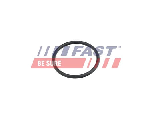 FAST Tesnenie trubiek chladenia FT49920 1