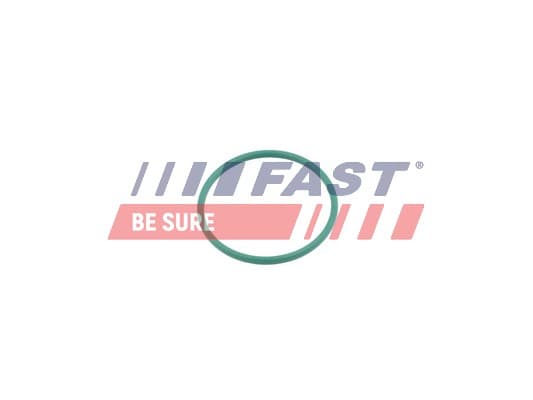 FAST Tesniaci krúžok hadice plniaceho vzduchu FT49921 1