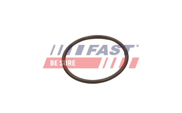 FAST Tesniaci krúžok hadice plniaceho vzduchu FT49933 1