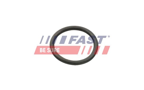 FAST Tesnenie vodného čerpadla FT49934 1