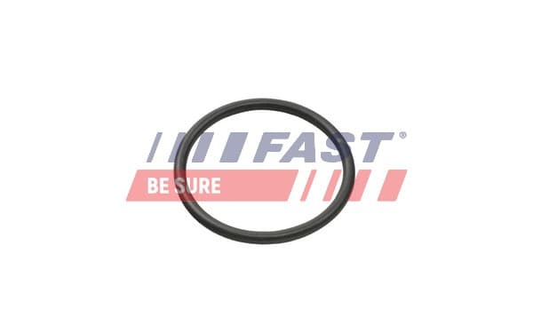 FAST Tesniaci krúžok, hadica chladiva FT49935 1