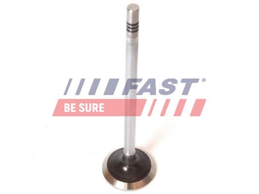 FAST Výpustný ventil FT50068 1