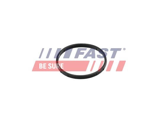 FAST Tesnenie, AGR-Ventil FT50602 1