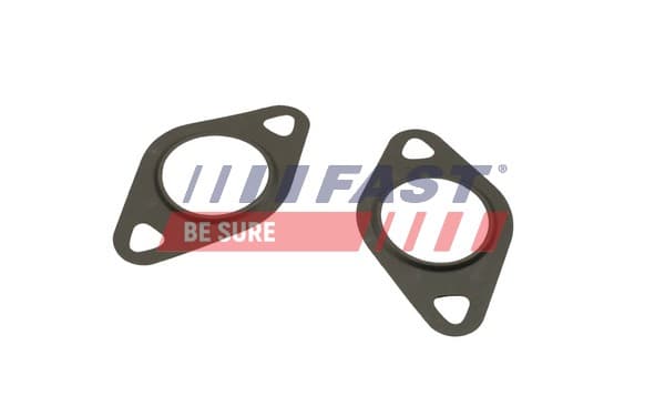 FAST Tesnenie, AGR-Ventil FT50608 1