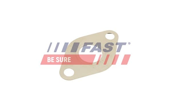 FAST Sada tesnení, AGR-System FT50609 1