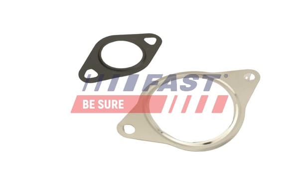 FAST Tesnenie, AGR-Ventil FT50610 1
