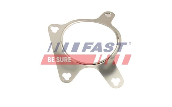 FAST Tesnenie, AGR-Ventil FT50613 1