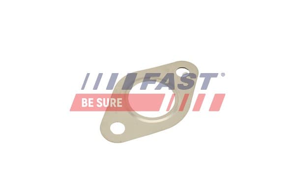 FAST Tesnenie, AGR-Ventil FT50615 1