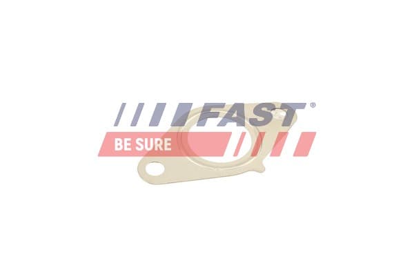 FAST Tesnenie, AGR-Ventil FT50616 1