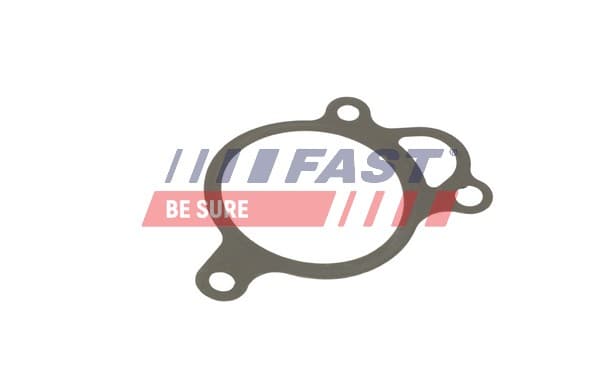 FAST Tesnenie, AGR-Ventil FT50619 1