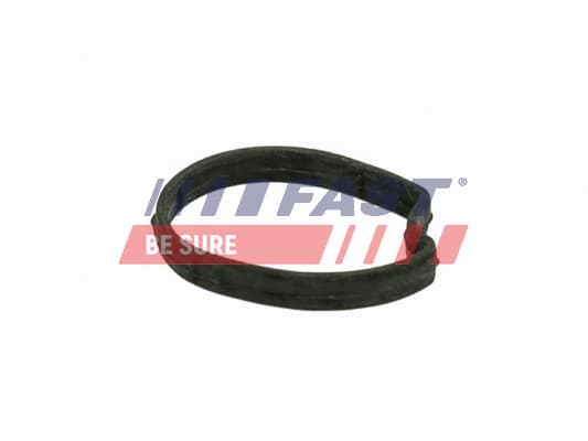 FAST Tesnenie obalu termostatu FT58301 1