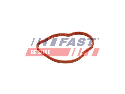 FAST Tesnenie termostatu FT58305 1