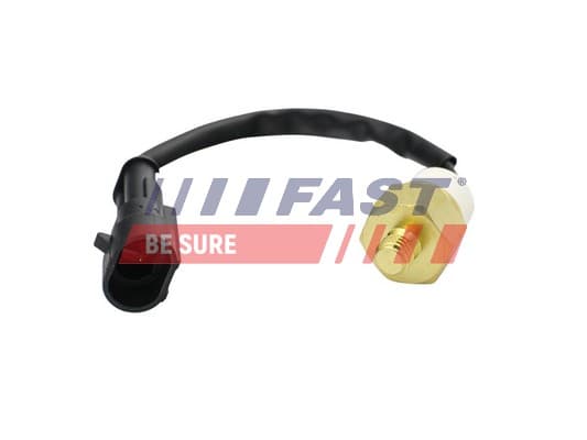 FAST Teplotný spínač kontrolky teploty chladenia FT80157 1